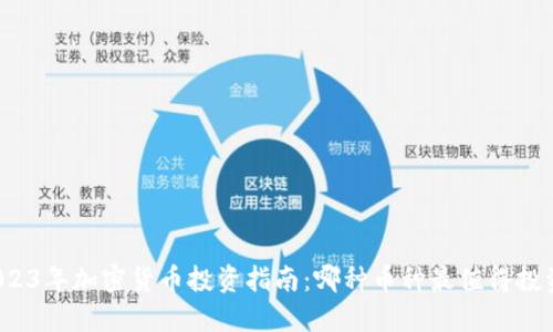 2023年加密货币投资指南：哪种币种最值得投资？