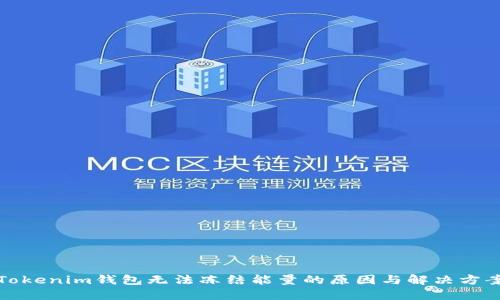 Tokenim钱包无法冻结能量的原因与解决方案