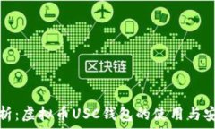   全面解析：虚拟币USC钱包的使用与安全策略
