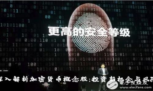 深入解析加密货币概念股：投资新机会与风险