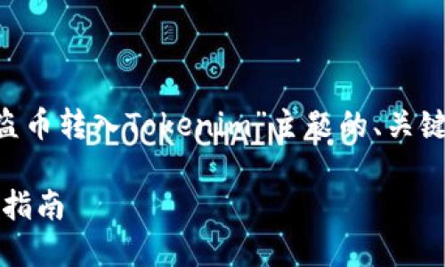 为了更好地为您提供信息，以下是围绕“盗币转入Tokenim”主题的、关键词、内容大纲，以及相关问题的详细介绍：

如何安全地将盗币转入Tokenim：一站式指南