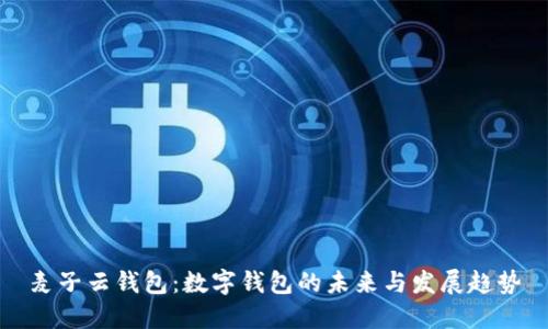 麦子云钱包：数字钱包的未来与发展趋势
