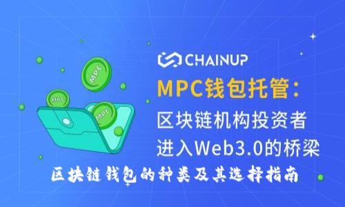 区块链钱包的种类及其选择指南