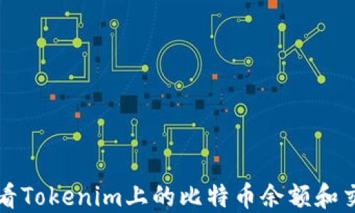 
如何查看Tokenim上的比特币余额和交易记录