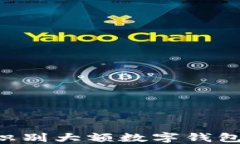 如何轻松识别大额数字钱包：实用指南