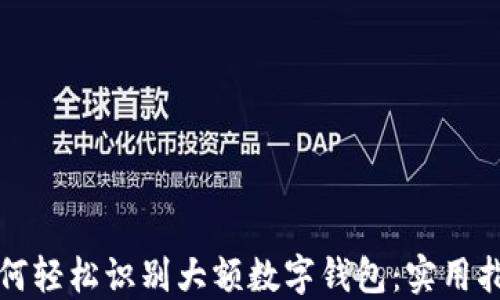 
如何轻松识别大额数字钱包：实用指南