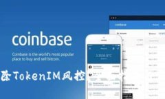 如何解除TokenIM风控？全面指南与实用技巧