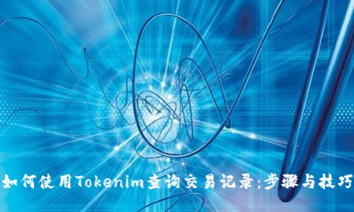 如何使用Tokenim查询交易记录：步骤与技巧