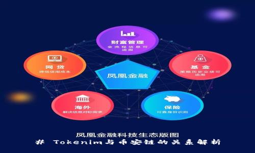 # Tokenim与币安链的关系解析