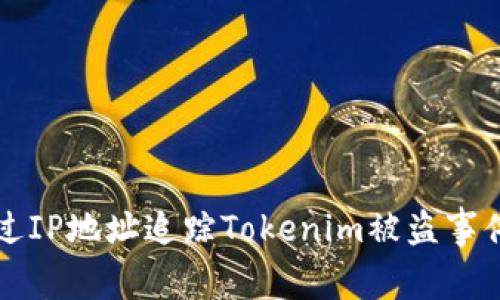 如何通过IP地址追踪Tokenim被盗事件的真相