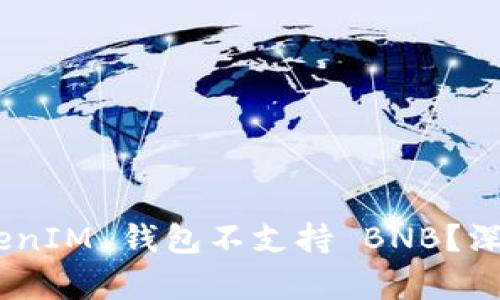 为什么 TokenTokenIM 钱包不支持 BNB？深入解析与解决方案