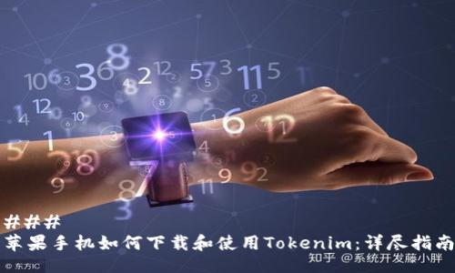 ### 
苹果手机如何下载和使用Tokenim：详尽指南