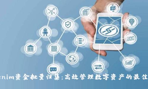 Tokenim资金批量归集：高效管理数字资产的最佳实践