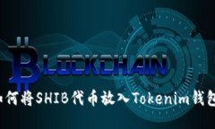 如何将SHIB代币放入Tokenim钱包？