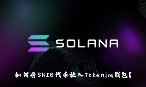 如何将SHIB代币放入Tokenim钱包？