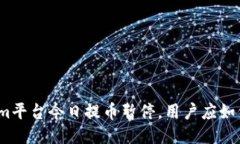 Tokenim平台今日提币暂停，用户应如何应对？