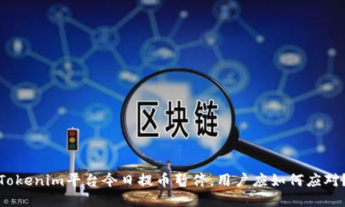Tokenim平台今日提币暂停，用户应如何应对？