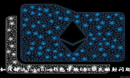 如何解决Tokenim钱包中的EOS缺失映射问题