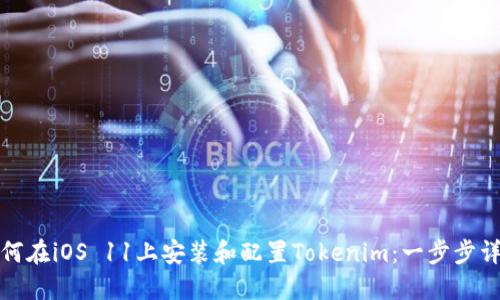 如何在iOS 11上安装和配置Tokenim：一步步详解