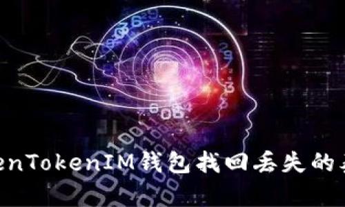 如何通过TokenTokenIM钱包找回丢失的泰达币（USDT）