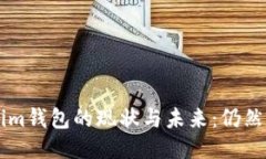 Tokentokenim钱包的现状与未来：仍然值得使用吗？