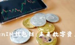 探索TokenTokenIM钱包链：未来数字资产管理的新方