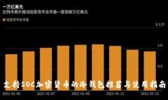 支持SOC加密货币的冷钱包推荐与使用指南
