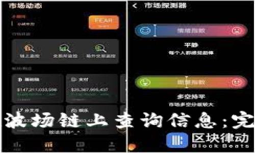 如何在波场链上查询信息：完整指南