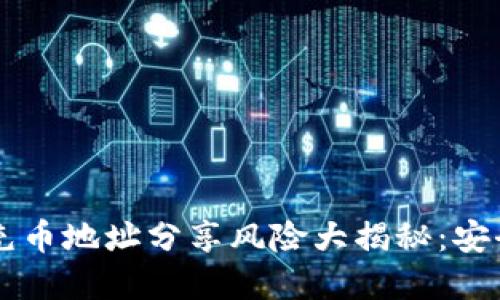 虚拟钱包充币地址分享风险大揭秘：安全使用指南