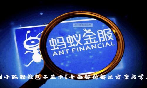 提币到小狐狸钱包不显示？全面解析解决方案与常见问题