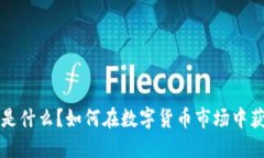 虚拟币是什么？如何在数字货币市场中获取利润