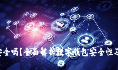 TOPAY钱包安全吗？全面解析数字钱包安全性及其防护措施