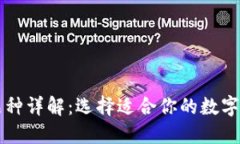 区块链钱包品种详解：选择适合你的数字资产管