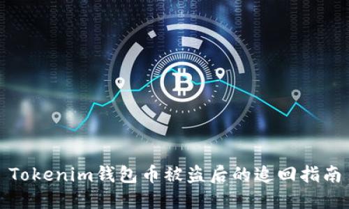 Tokenim钱包币被盗后的追回指南