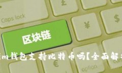 Tokentokenim钱包支持比特币吗？全面解析与使用指