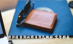 如何快速查询比特币钱包地址：完整指南