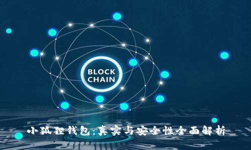 小狐狸钱包：真实与安全性全面解析