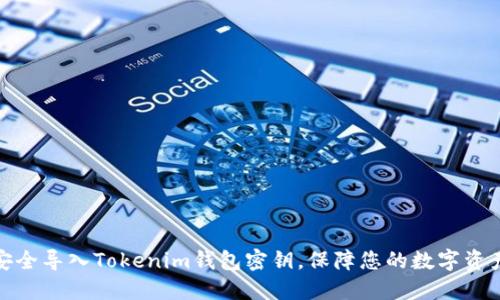 如何安全导入Tokenim钱包密钥，保障您的数字资产安全