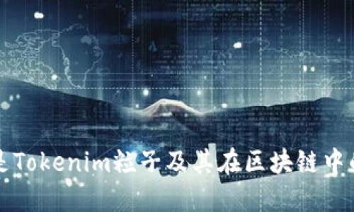 什么是Tokenim粒子及其在区块链中的应用