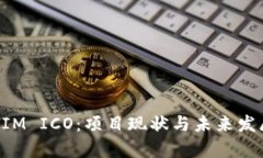 TokenIM ICO：项目现状与未来发展分析