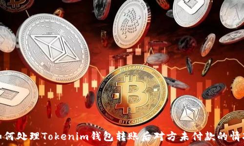   
如何处理Tokenim钱包转账后对方未付款的情况