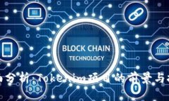 全面分析：Tokenim项目的前景与挑战