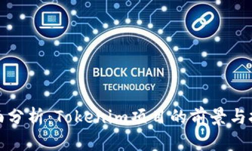 全面分析：Tokenim项目的前景与挑战