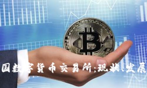 全面解析中国数字货币交易所：现状、发展与未来趋势