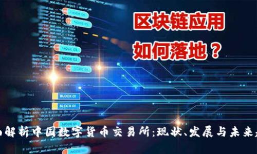 全面解析中国数字货币交易所：现状、发展与未来趋势