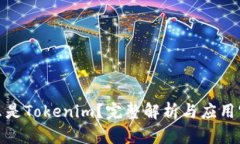 什么是Tokenim？完整解析与应用实例