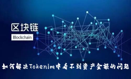 如何解决Tokenim中看不到资产金额的问题