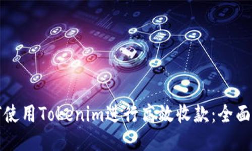 如何使用Tokenim进行高效收款：全面指南