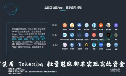 如何使用 Tokenim 批量转账脚本实现高效资金管理