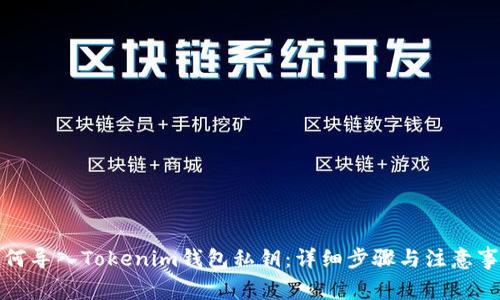 如何导入Tokenim钱包私钥：详细步骤与注意事项